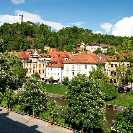 Apartma Zois *